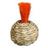 Prevue Pet Products Grassy Nibblers Squash - 1080